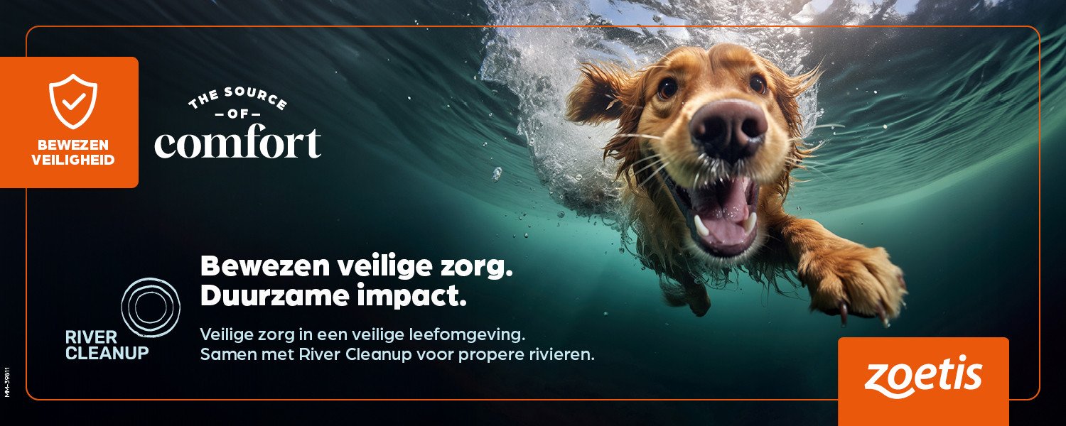 Promotionele banner met een foto van een hond die onderwater naar de camera zwemt. De poster bevat informatie over ‘Vera Icon Day’ en de samenwerking tussen Zoetis en River Cleanup, met tekst over bewezen veilige zorg en duurzame impact.